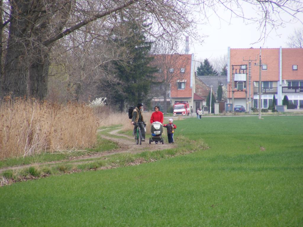 DSCF2208