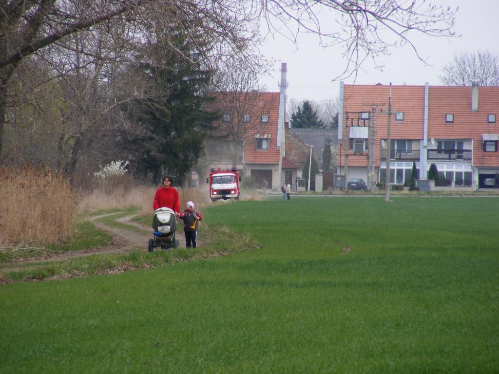 DSCF2209